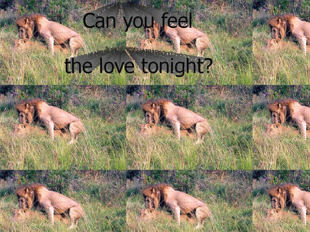 lovetonight