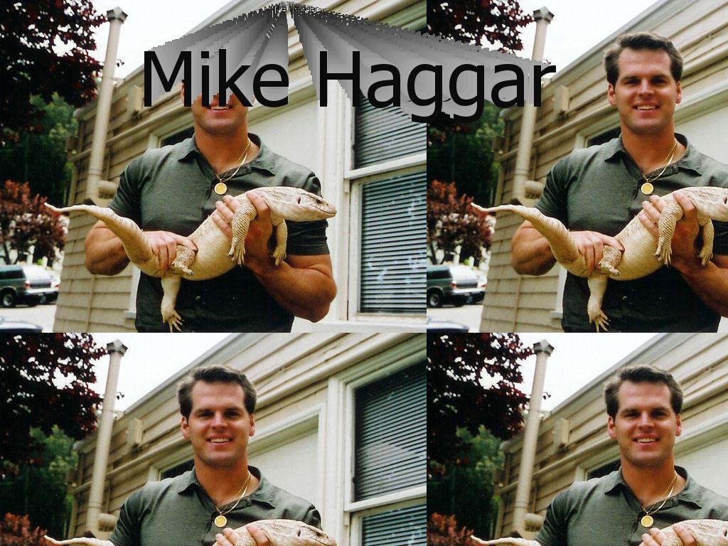 mikehaggarfinalfight