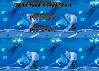 Pool Shark!