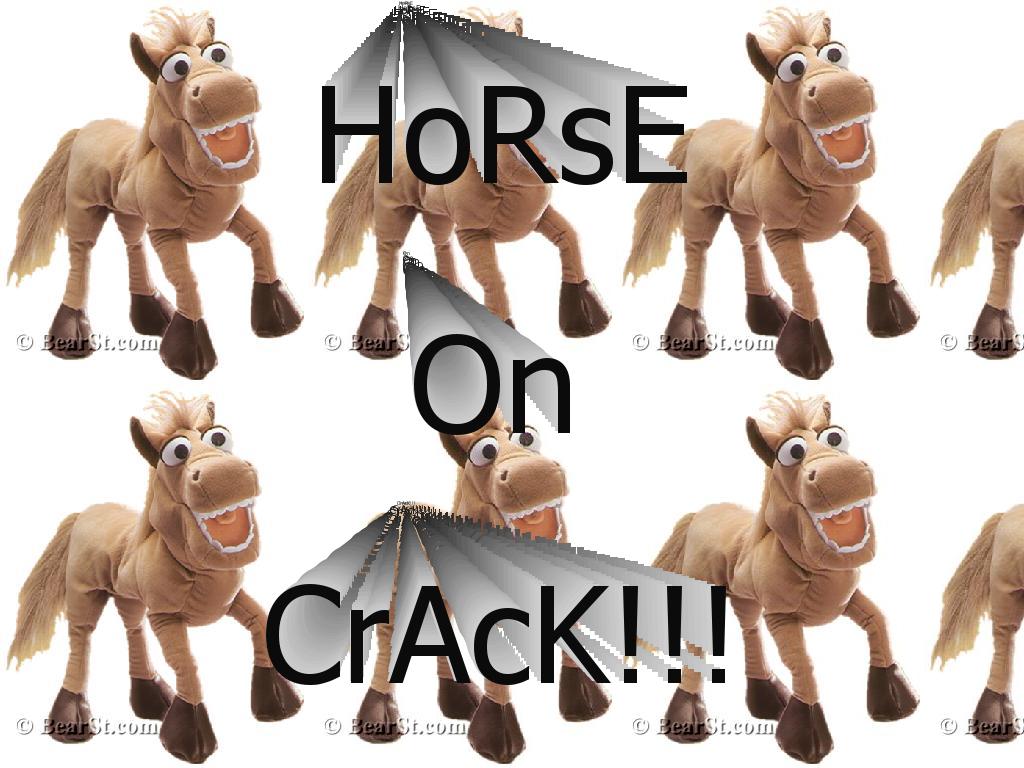 horseoncrackwoohoo
