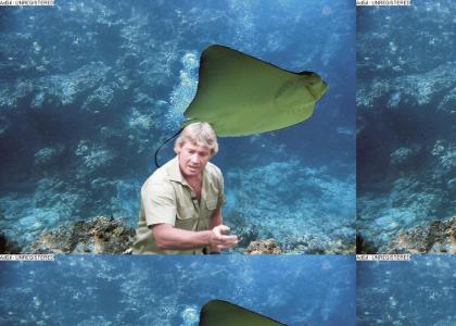 Steve Irwin: What happens on the Reef stays on the Reef
