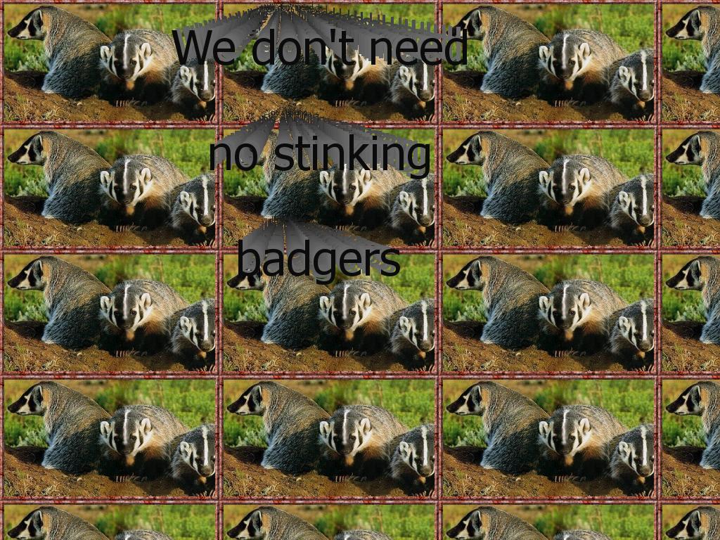 nostinkingbadgers