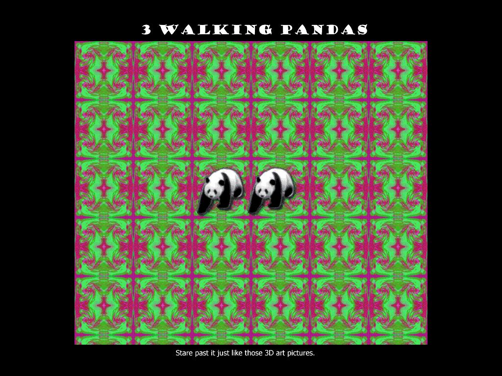 threewalkingpandas