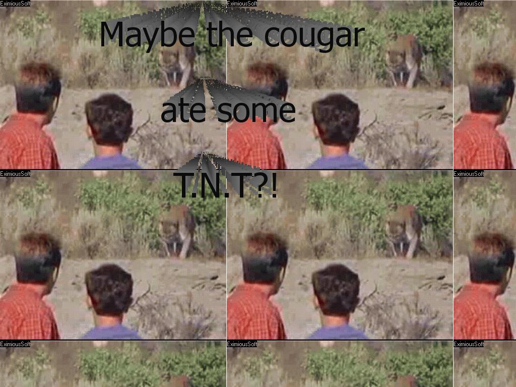 cougaratesometnt