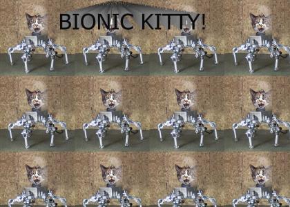 BIONIC CAT