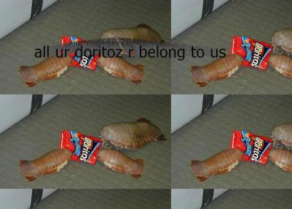 Biggest fucking bug you've ever seem eating doritoz