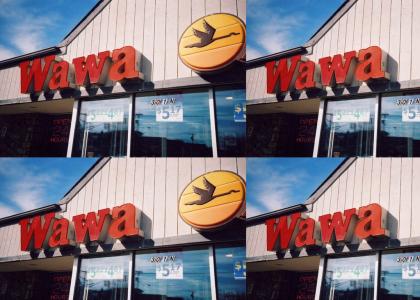 wawa