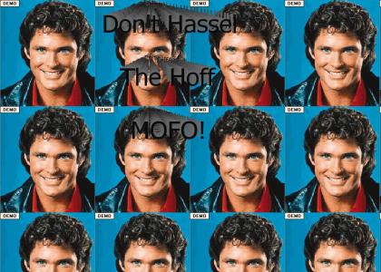 Dont Hassel The Hoff