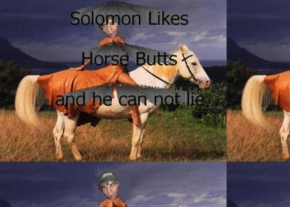 solomonhorse