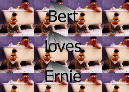 Bert and Ernie Are Gay
