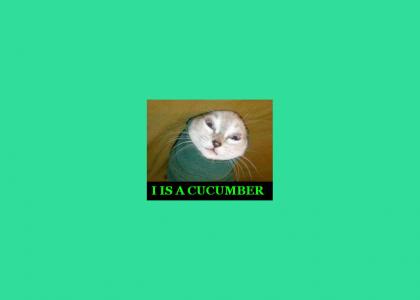 I IS A CUCUMBER