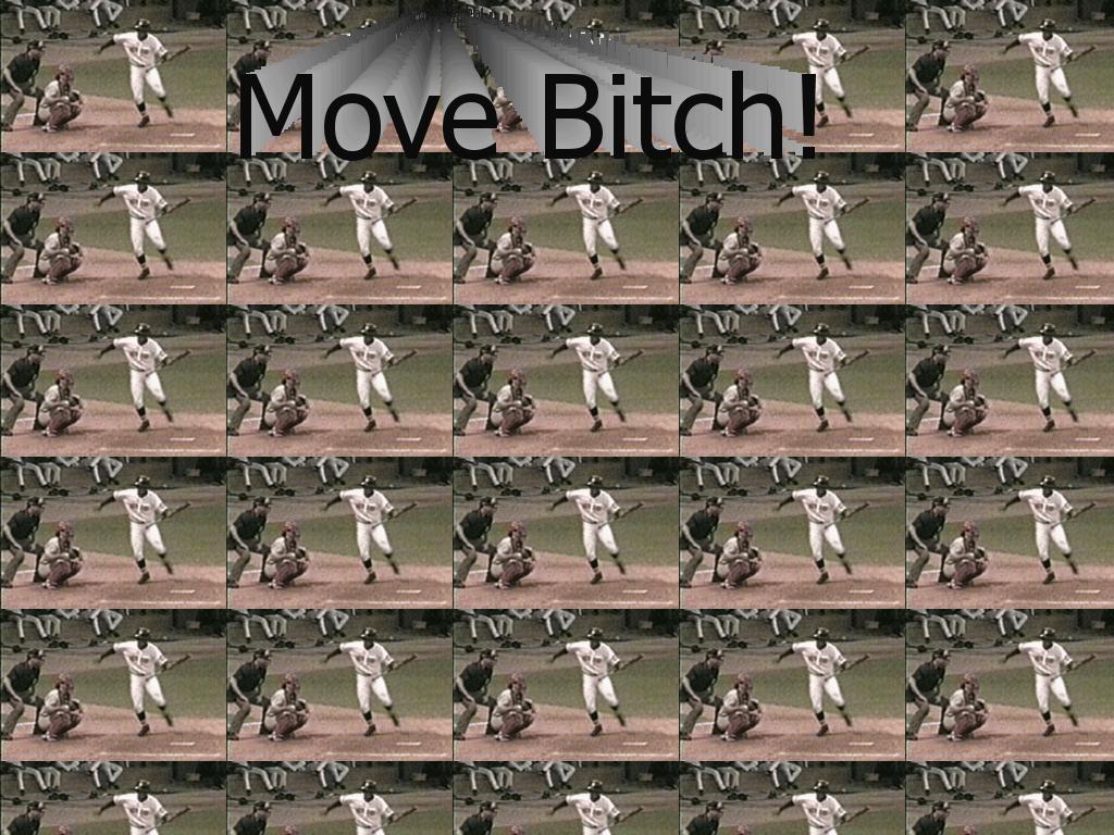 movebaseballbitch