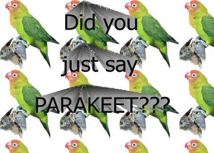 Parakeet!