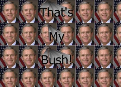 That's My Bush