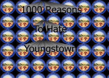 1000 Reasons To Hate Youngstown