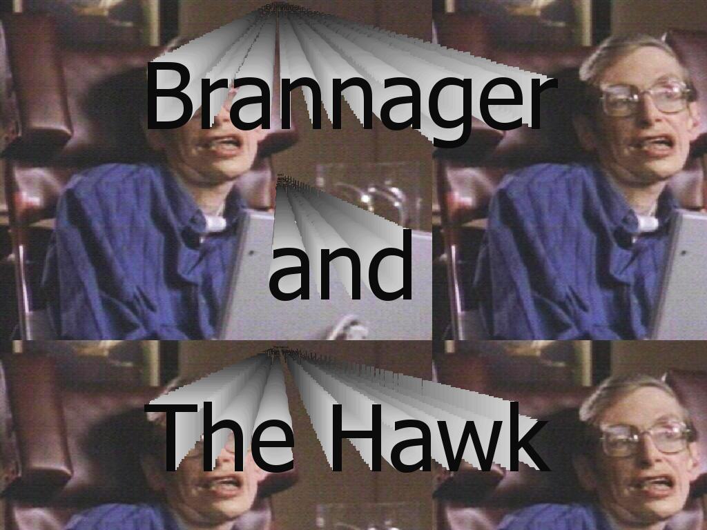 Brannagerandthehawk