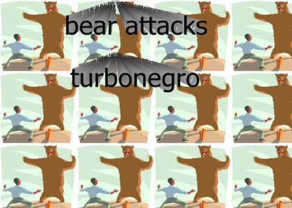 bear attacks turbonegro