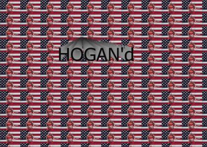 HOGAN'd