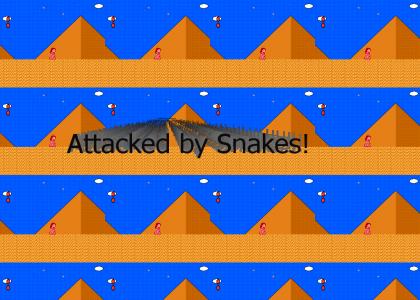 Attacked by Snakes! ( an NES montage )