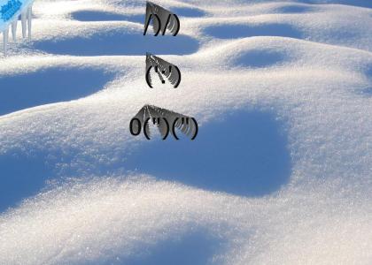 A cute little bunny playing in the snow!