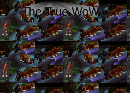 true story behind WoW