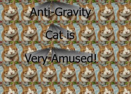 Anti-Gravity Cat