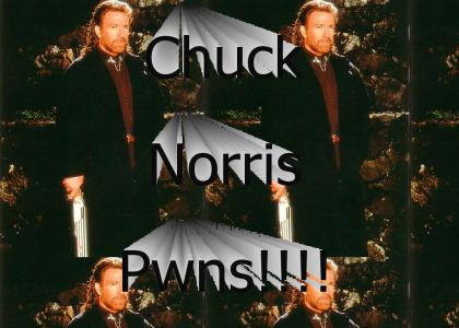 chuck norris is the man