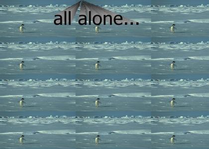the lonely penguin