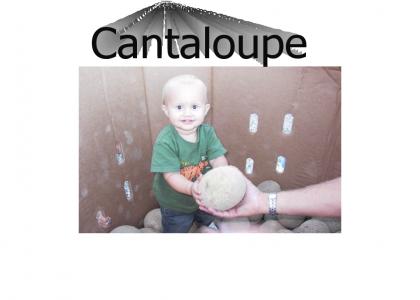 This Cantaloupe