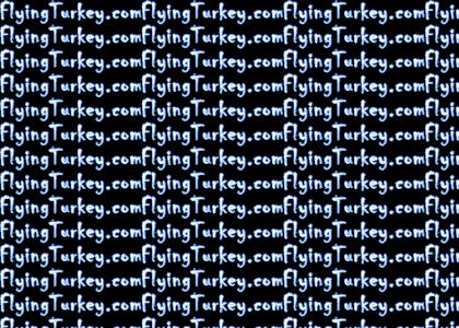 Flying Turkey pwns kthxBYE