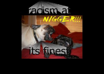 dude now dogs are racist.