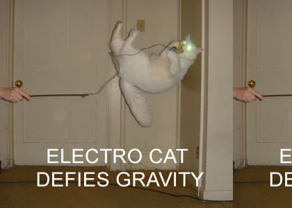 Electro cat not amused