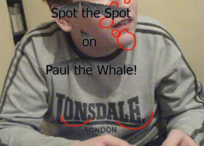 paul is an awesome whale