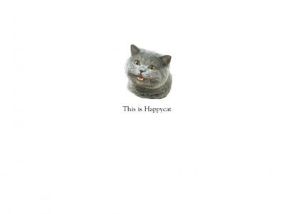 NEDM != Happycat