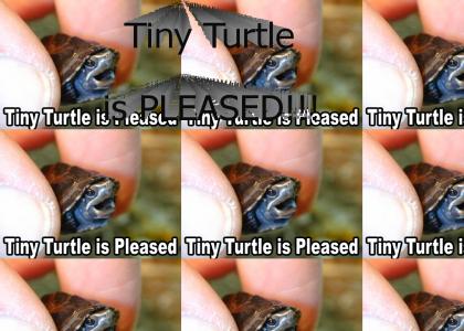 Tiny Turtle is Pleased!