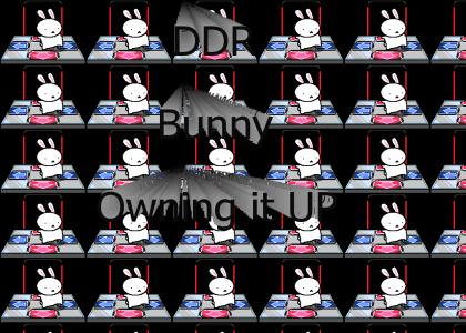 DDR Bunny