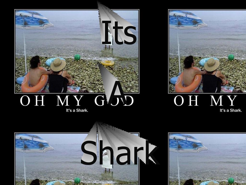 itsashark