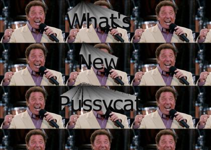 What's New Pussycat
