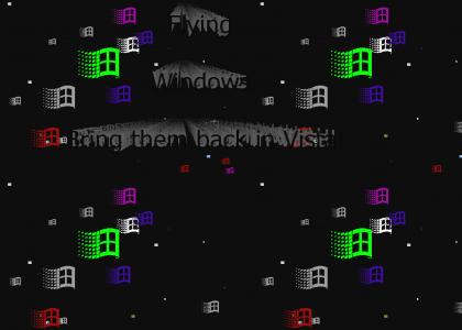 Flying Windows