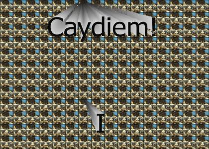 CAYDIEM