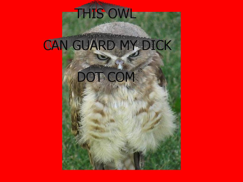 thisowlcanguardmydick