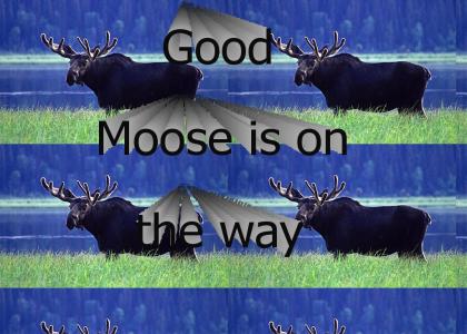 Moose is on the way