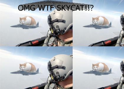 Skycat pwns you