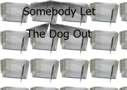 Somebody Let the Dog Out