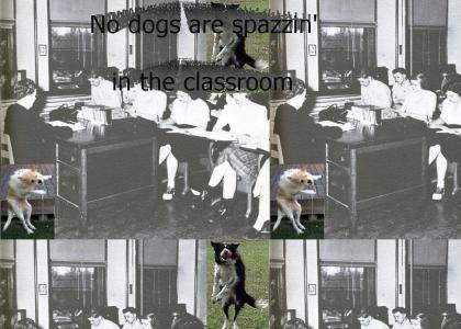 Pink Floyd:  No dogs are spazzin' in the classroom