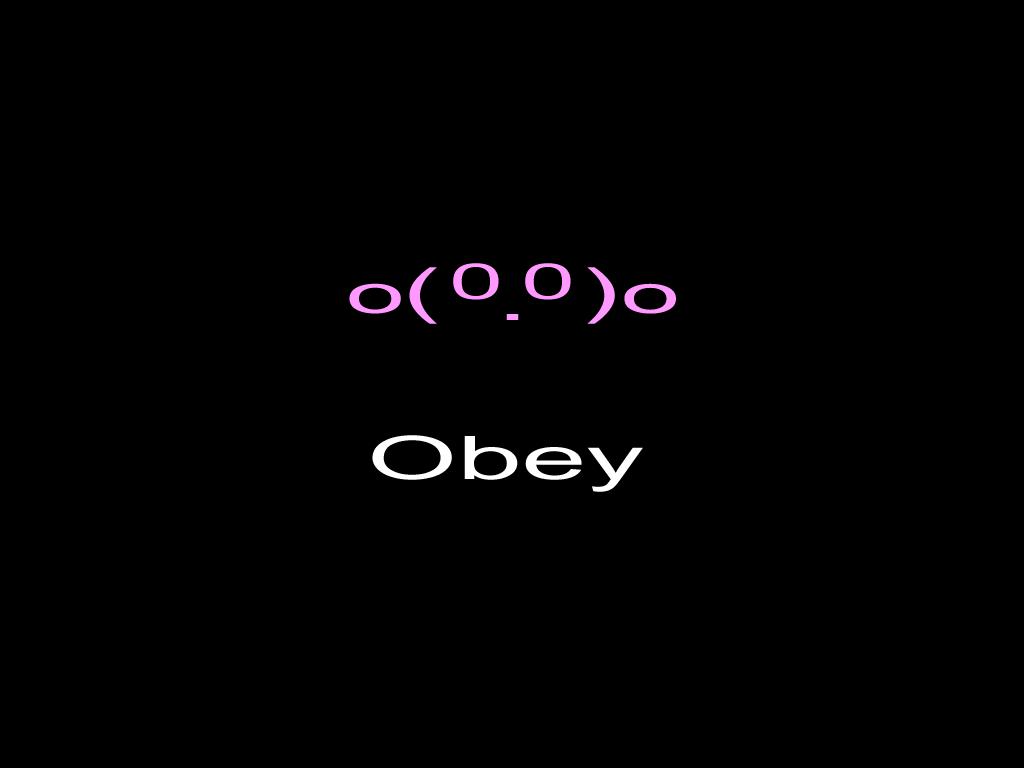Obeykirby