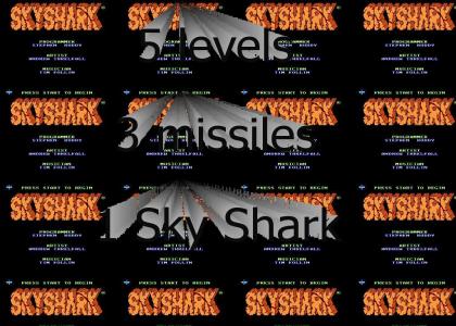 Sky Shark is the only game for me