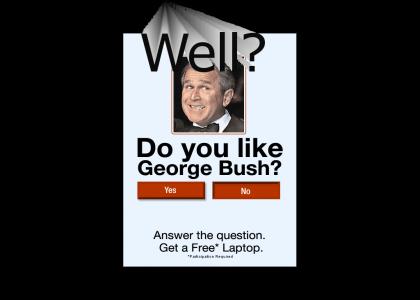Do you like Dubya bush?