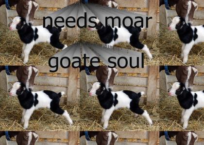goat soul
