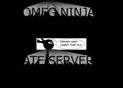 Server Ninja